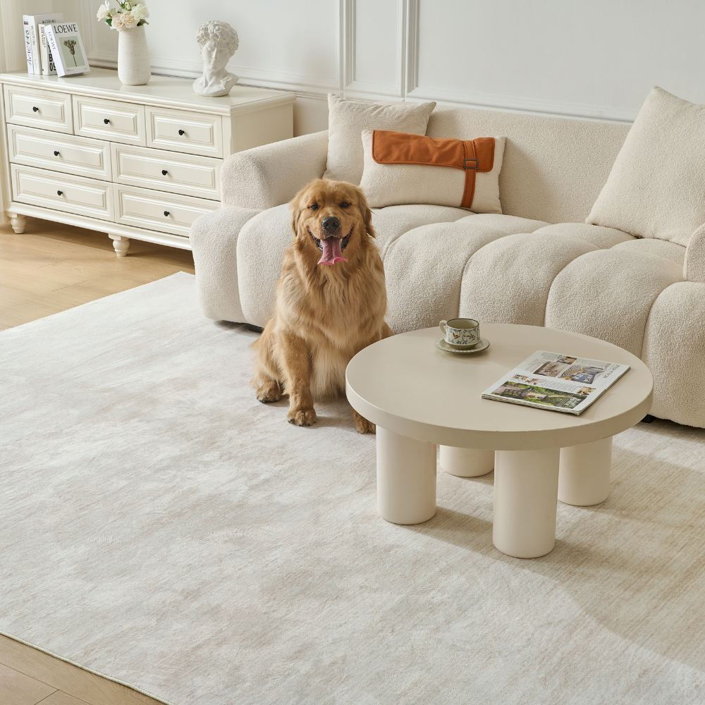 Peaceful Morning Modern Rugs