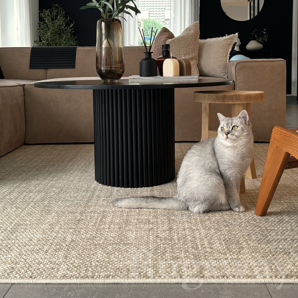 Golden Path Soft Woven Rug in a cozy living room with a cat and modern decor