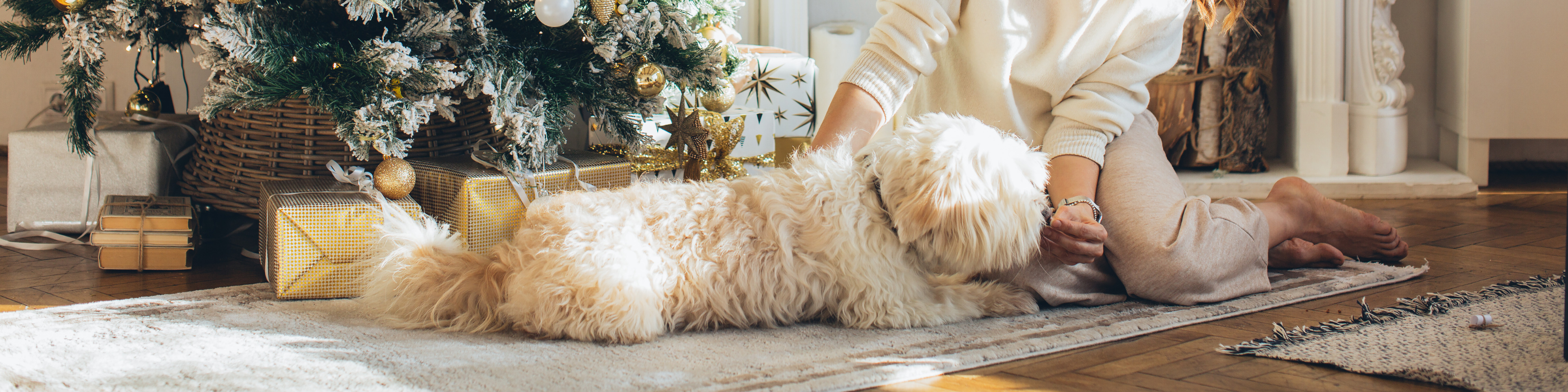 Enchanted Realm Scandinavian Rugs