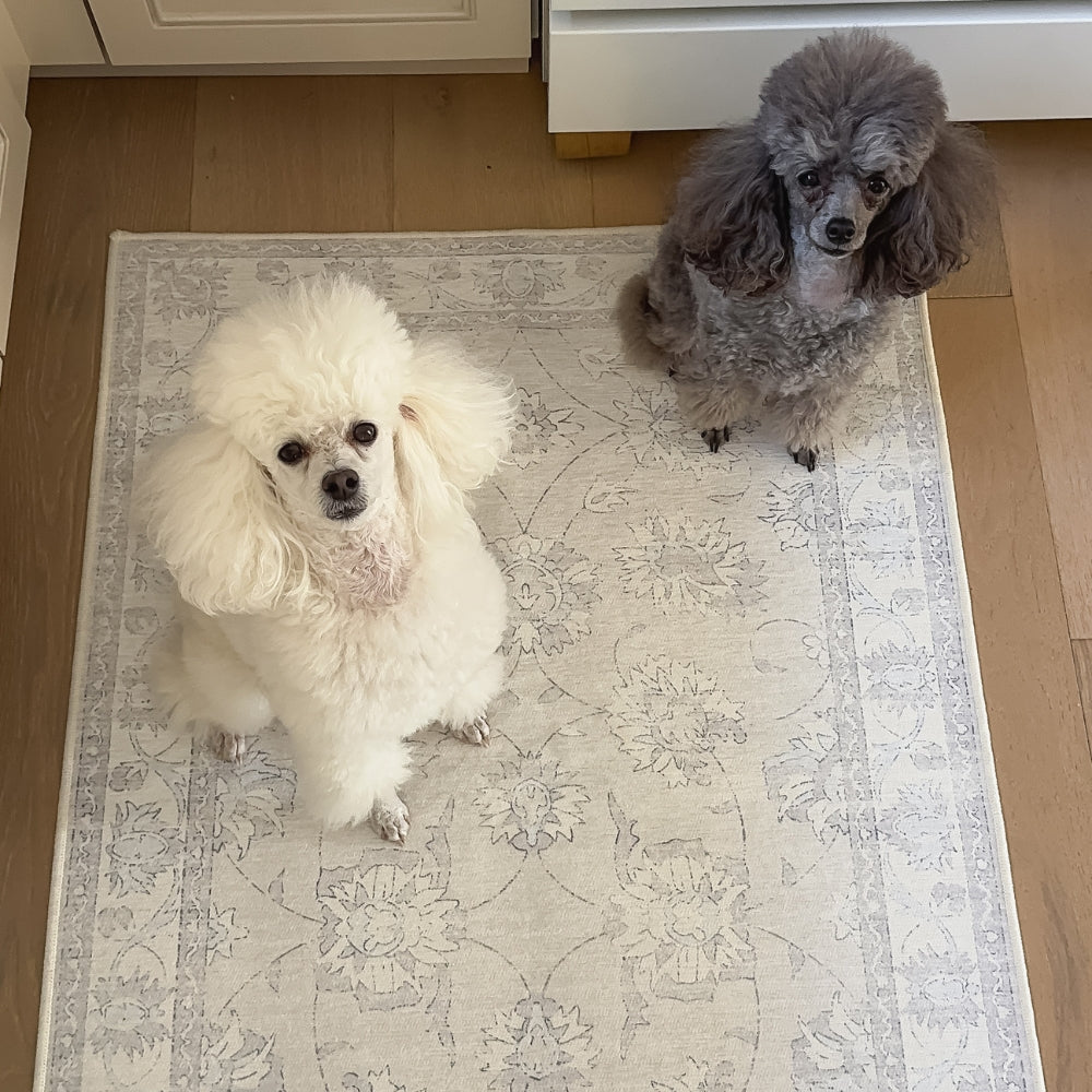 Midnight Blossom Seren Rugs