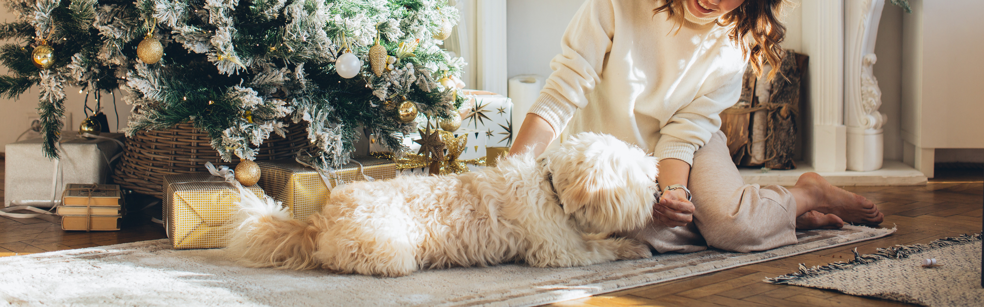 Enchanted Realm Scandinavian Rugs